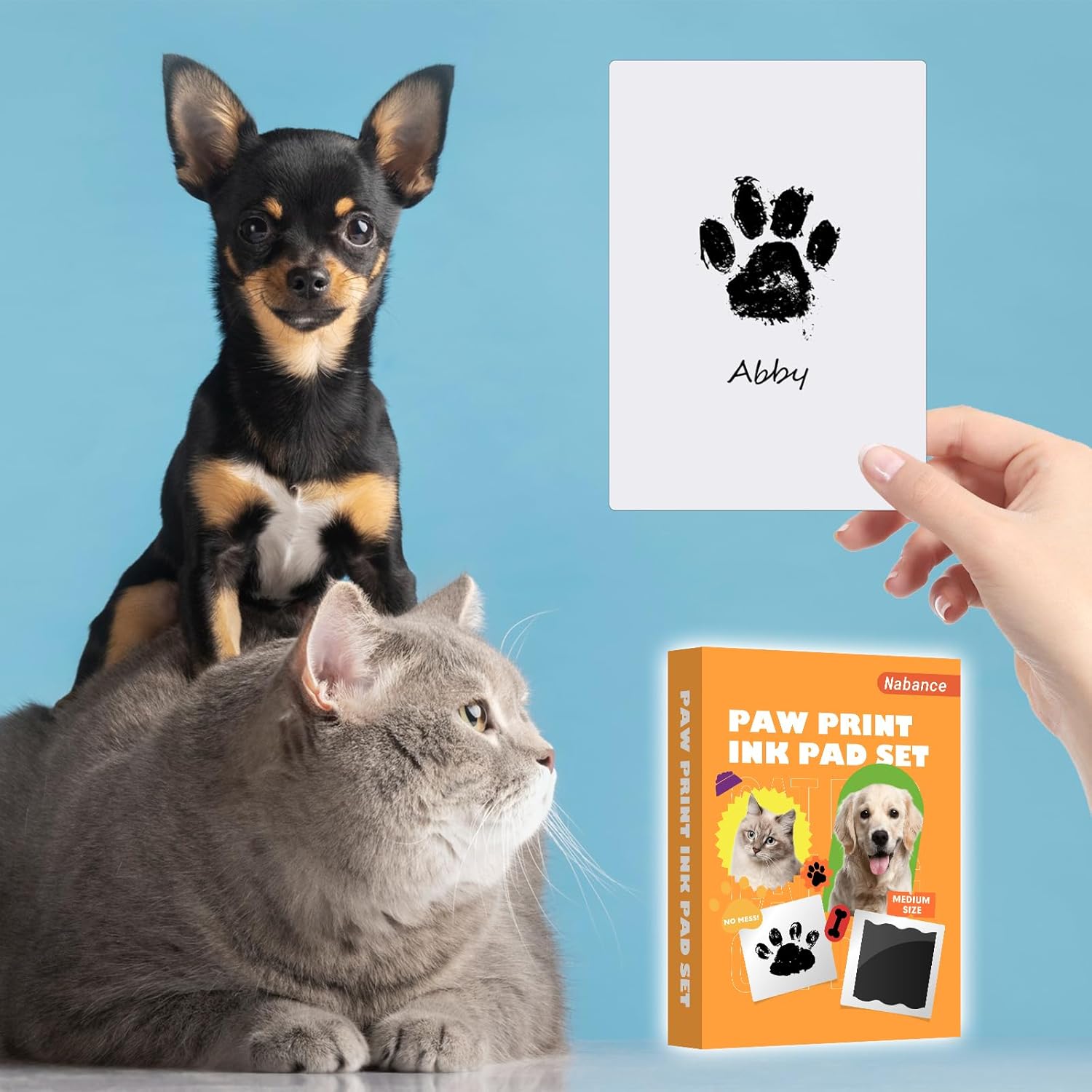 4 Clean Touch Ink Pads & 8 Imp - Baby Products Gift Card 리뷰 및 가격
