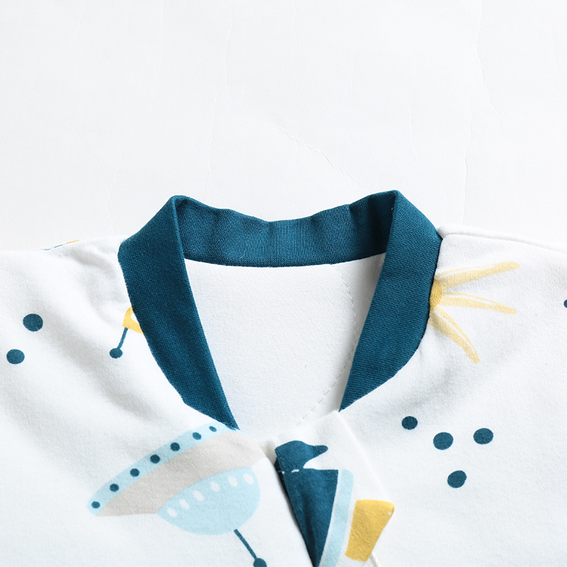 2.5Tog Spring and Autumn Thin  - Baby Sleep Sack 리뷰 및 가격