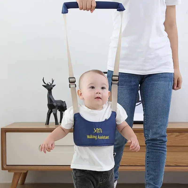 Adjustable Learning Basket Typ - Baby Products Basket 리뷰 및 가격