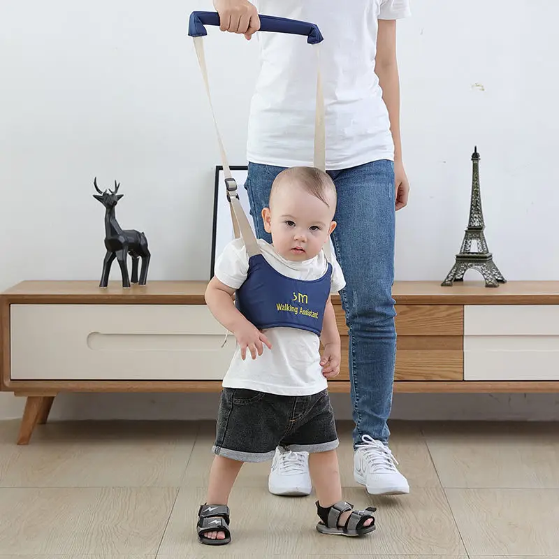 Adjustable Learning Basket Typ - Baby Products Basket 리뷰 및 가격