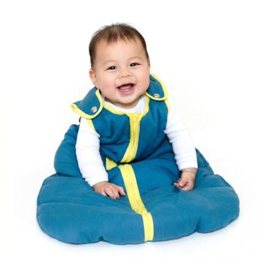 Baby Deedee Sleep Nest Origina - Baby Sleep Sack 리뷰 및 가격