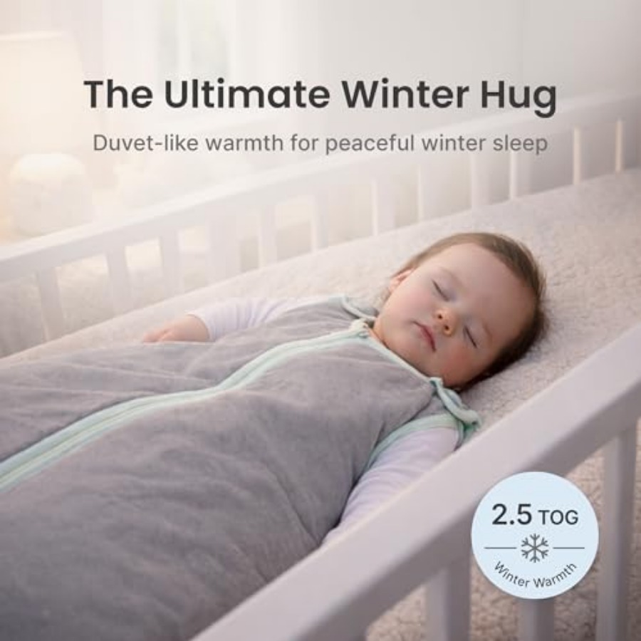 Baby Deedee Sleep Nest Origina - Baby Sleep Sack 리뷰 및 가격