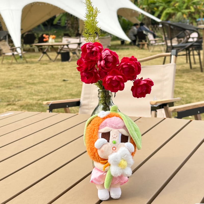 Genuine New Popmart City Park  - Baby Products Gift Card 리뷰 및 가격